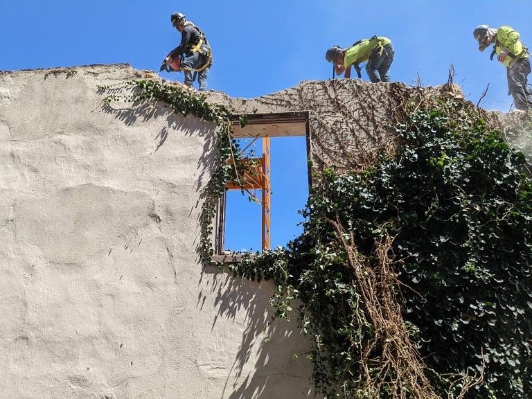 Three construction workers stand on top of a partially demolished, ivy-covered wall under a clear blue sky. One is using power tools near a window opening.